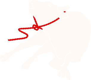 lazo rojo