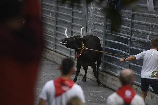 vaquillas getxo