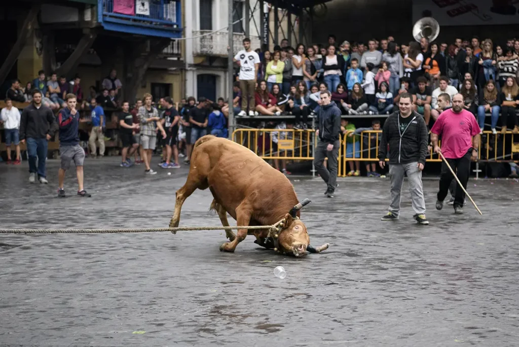 sokamuturra sin toros