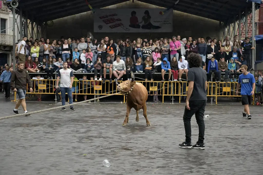 concurso sokamuturra ez