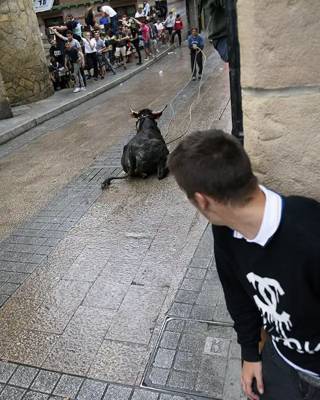 sokamuturra ez getxo